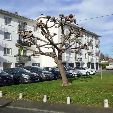Stade Ii *